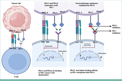 G UwOjwW8AATttx?format=jpg.jpg