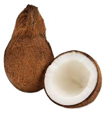 img coconut.png