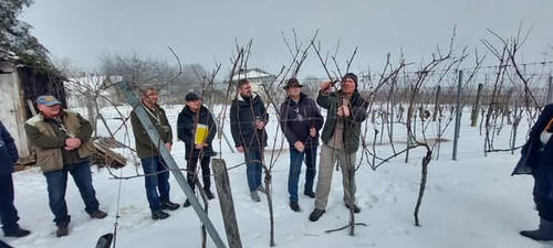 619891927 1305649661369718 5119078155524238077 n.jpg?stp=dst jpg s590x590 tt6& nc cat=102&ccb=1 7& n.jpg