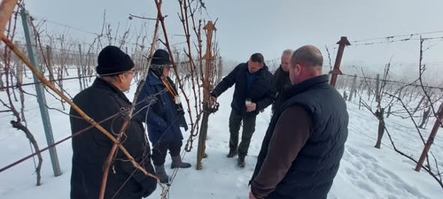 618809589 1305649658036385 5327960644945194982 n.jpg?stp=dst jpg s590x590 tt6& nc cat=108&ccb=1 7& n.jpg