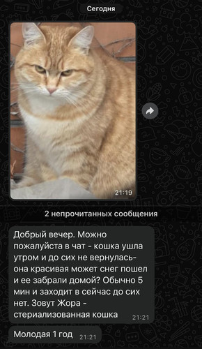 G YAYkXXAAAepuM?format=jpg.jpg