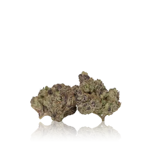 x950 img 22 1761869952184.png.webp