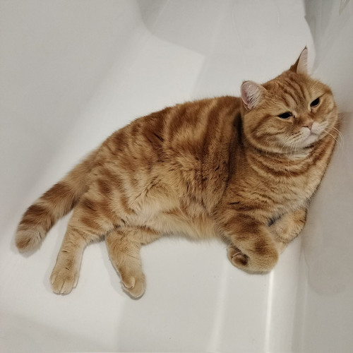 G S55rwXMAAby 6?format=jpg.jpg