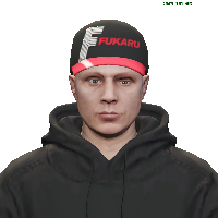 e950d8f4b48e.png