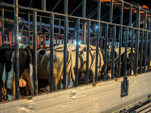 G Wp1 dWUAAiRpk?format=jpg.jpg