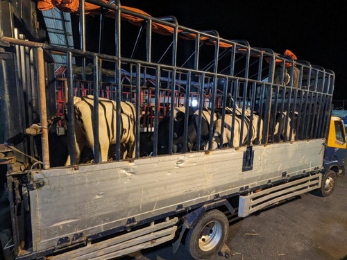 G Wp0TSWUAAJwd0?format=jpg.jpg