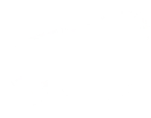 customdecors mngwa 2.webp