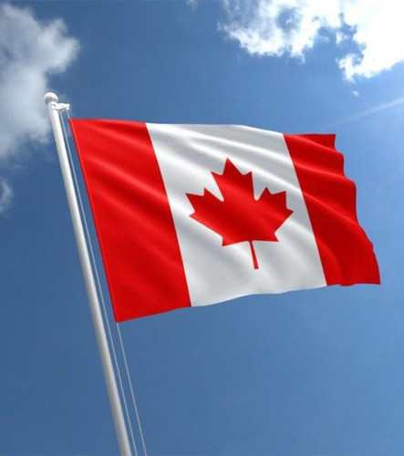 photo 4147 1769300164 converted converted.jpg