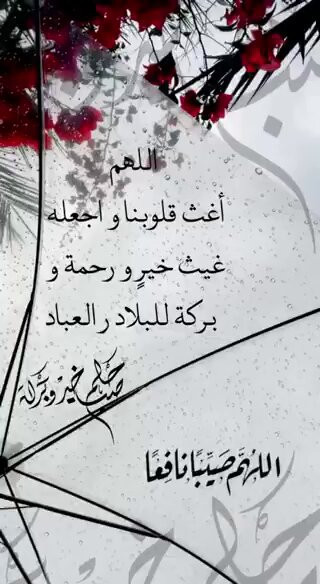 Qqbe59Hea42OZHoN.jpg