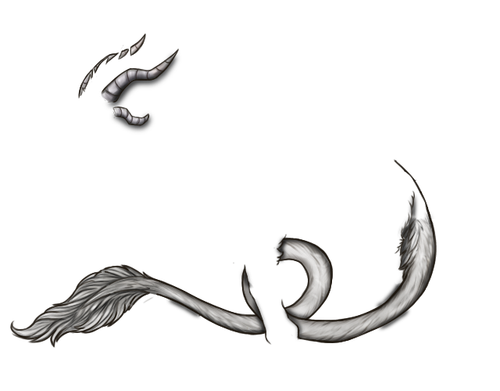 1000012436.png