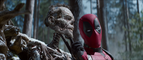 vlcsnap 2026 01 23 22h08m30s702.png