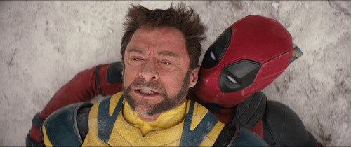 vlcsnap 2026 01 23 22h10m37s991.png