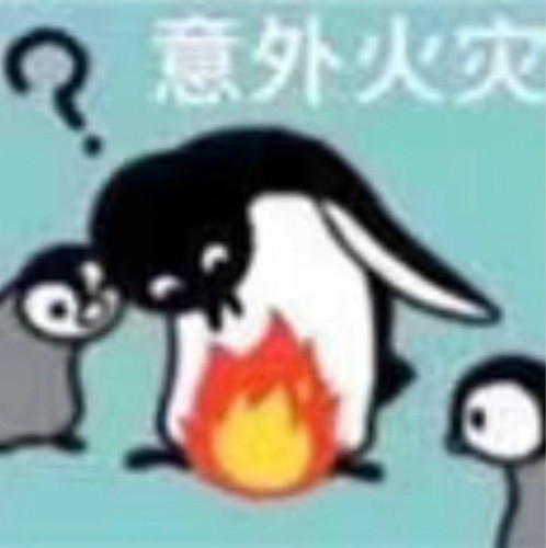 IMG 20260124 120945.jpg