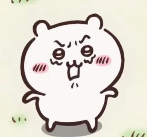 IMG 20260124 120908.jpg