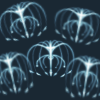 1000006708.png