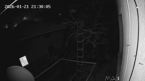 e252049f 16d3 44e8 9b47 775d05d94b27.jpg