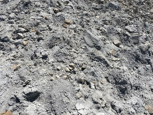 B42 2 (110).jpg