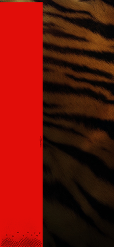 oruebaaaa.png