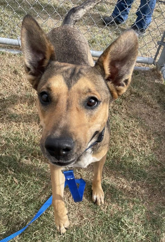 G Zj76fWgAA6epJ?format=jpg.jpg