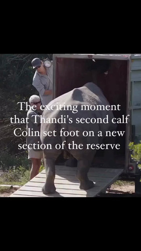 9s 7elqKQQ8f0qXG.jpg