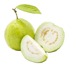 img guava.png