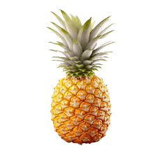 img pineapple.png