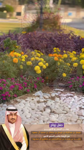 ZA1R3jqGTo2DfW c.jpg