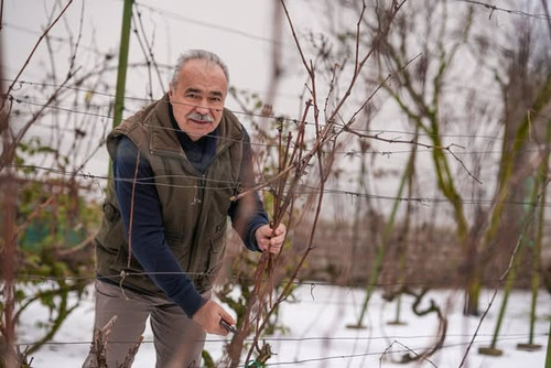 619827019 1433145021515893 1845623609295126827 n.jpg?stp=dst jpg s590x590 tt6& nc cat=105&ccb=1 7& n.jpg