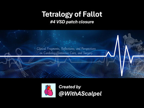 GTjIXyQSjM JRkMw.jpg