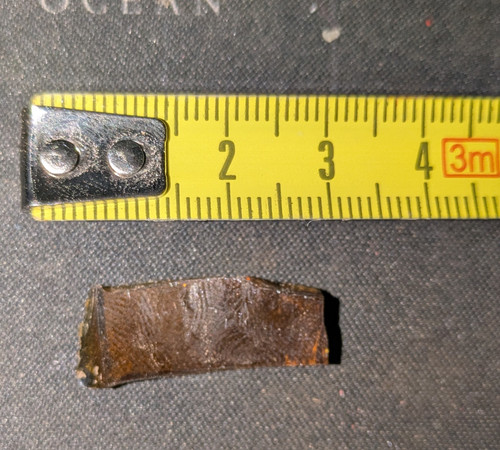 11143df9 f11f 4478 be1b e392d11eeed4~1.jpg