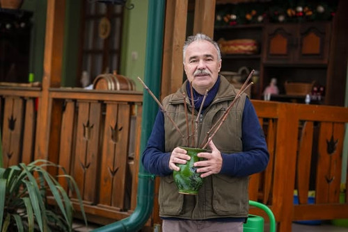 621175072 1433144978182564 8317912586070785897 n.jpg?stp=dst jpg s590x590 tt6& nc cat=111&ccb=1 7& n.jpg