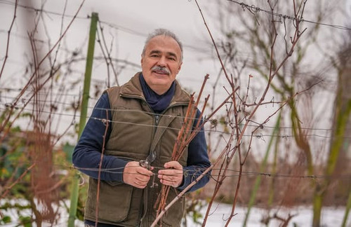 621672678 1433144971515898 6363027983939350033 n.jpg?stp=dst jpg s590x590 tt6& nc cat=106&ccb=1 7& n.jpg