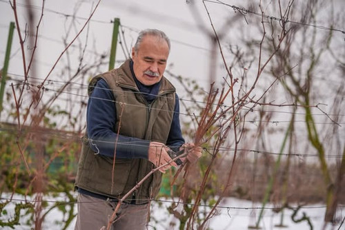 621373486 1433145014849227 323132495635512074 n.jpg?stp=dst jpg s590x590 tt6& nc cat=102&ccb=1 7& nc.jpg