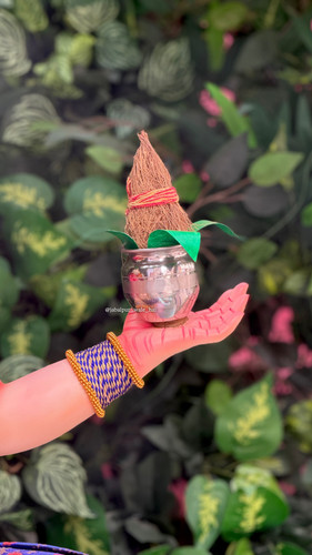 B6F8882F DC8F 45F2 84D2 89FD91AB2CDB.jpg