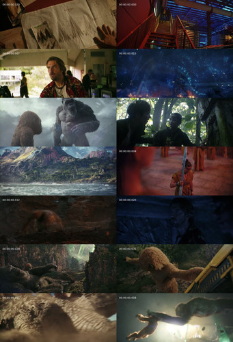 IMG 20260125 203938 831.jpg