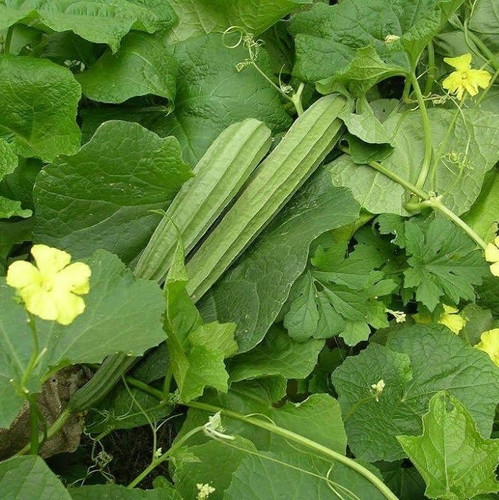 71dqdPvhEbL. SL1000 .jpg