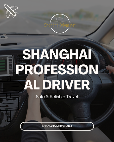 Shanghai professional driver.png