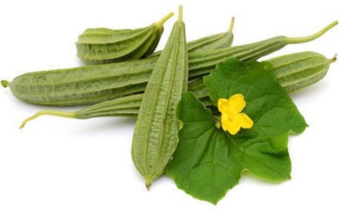 10 a2 126 plantzon original imaf.jpg