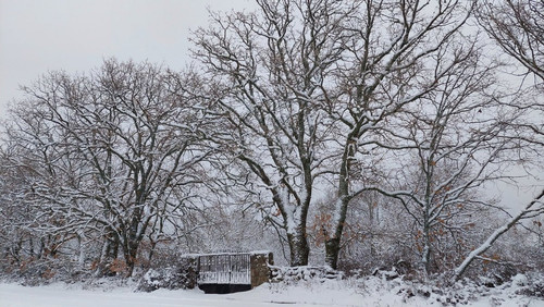 G f leQWIAAORva?format=jpg.jpg