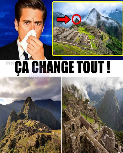 10bc665f1cf7.jpg