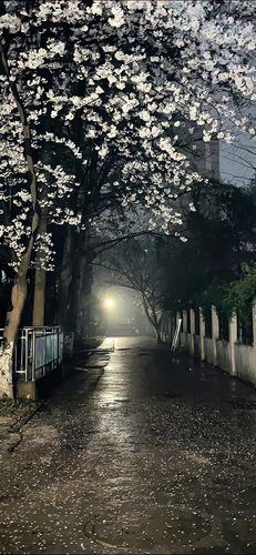 IMG 0058.png