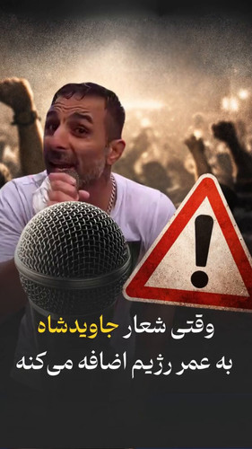 P3ZyS3jWh1tWD FL.jpg