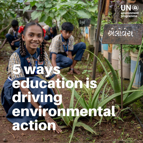 G Z0sz9XcAAwgww?format=jpg.jpg