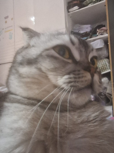 file.jpg