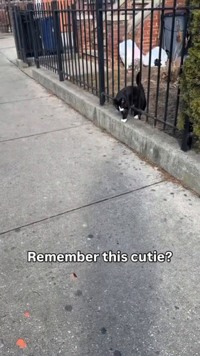 lgarIVyhLx KEMBA.jpg