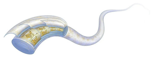 G Zw4vQbAAIbJUf.jpg