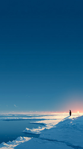 dovakin 2024 Clean anime wallpaper back view of a penguin stand 4d3a0f6c 1f8b 45ea bdaa c11eee87b4b0.jpg