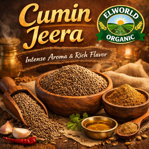 cumin jeera | elworldorganic.jpg