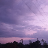 1000057941