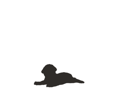 80549285 92B8 4D3F 972F 203439FDBAC8.png